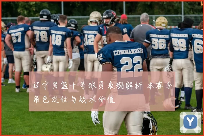 辽宁男篮十号球员表现解析 本赛季角色定位与战术价值